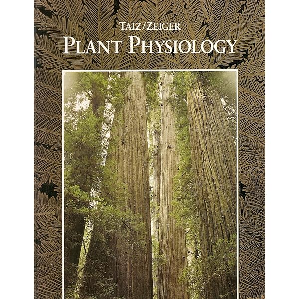 Plant Physiology and Development 第6版 Plant Physiology and Development, Sixth Edition 6th edition